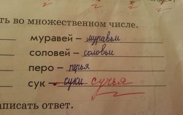 Подборка прикольных фото №1071 (97 фото) Подборка прикольных фото №1071 (97 фото)