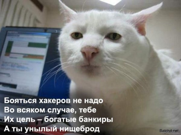Подборка комиксов и приколов №279 (20 картинок) Подборка комиксов и приколов №279 (20 картинок)