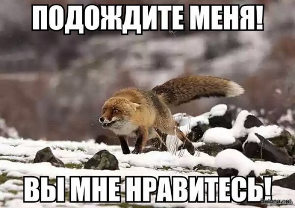 Подборка комиксов и приколов №279 (20 картинок) Подборка комиксов и приколов №279 (20 картинок)