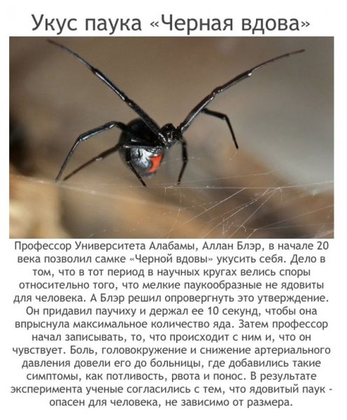 Наиболее аморальные эксперименты в человеческой истории (20 фото) Наиболее аморальные эксперименты в человеческой истории (20 фото)
