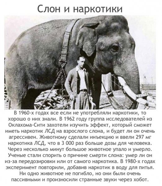Наиболее аморальные эксперименты в человеческой истории (20 фото) Наиболее аморальные эксперименты в человеческой истории (20 фото)