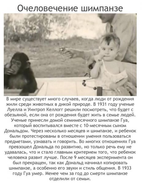 Наиболее аморальные эксперименты в человеческой истории (20 фото) Наиболее аморальные эксперименты в человеческой истории (20 фото)