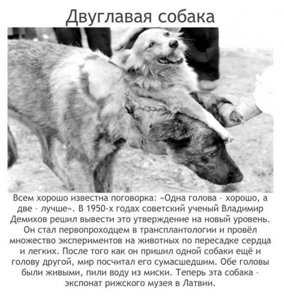 Наиболее аморальные эксперименты в человеческой истории (20 фото) Наиболее аморальные эксперименты в человеческой истории (20 фото)