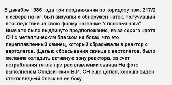 «Слоновья нога» в зоне отчуждения Чернобыльской АЭС (11 фото) «Слоновья нога» в зоне отчуждения Чернобыльской АЭС (11 фото)