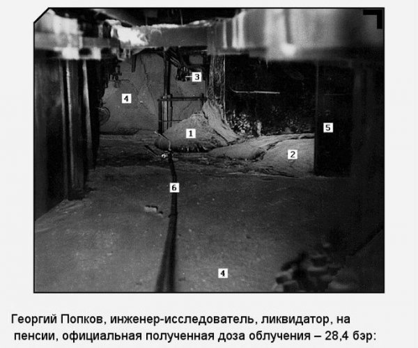«Слоновья нога» в зоне отчуждения Чернобыльской АЭС (11 фото) «Слоновья нога» в зоне отчуждения Чернобыльской АЭС (11 фото)
