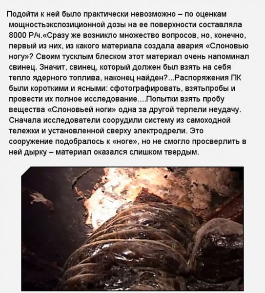 «Слоновья нога» в зоне отчуждения Чернобыльской АЭС (11 фото) «Слоновья нога» в зоне отчуждения Чернобыльской АЭС (11 фото)
