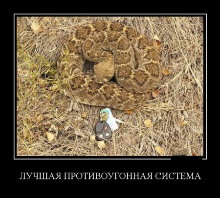 Прикольные демотиваторы, шо опять. Прикольные демотиваторы, шо опять.