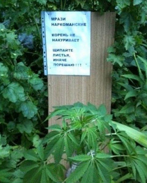 Подборка комиксов и приколов №281 (30 картинок) Подборка комиксов и приколов №281 (30 картинок)