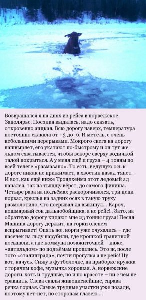 Как мужик лося спасал (5 фото) Как мужик лося спасал (5 фото)