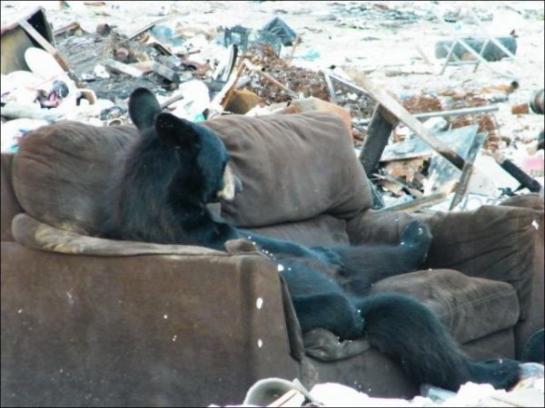 Подборка позитива в классных картинках (130 фото)