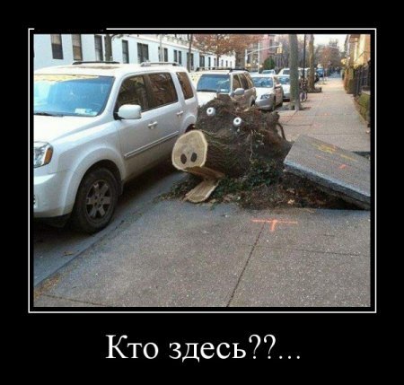 Демотиваторы, внутри все самое прикольное. Демотиваторы, внутри все самое прикольное.