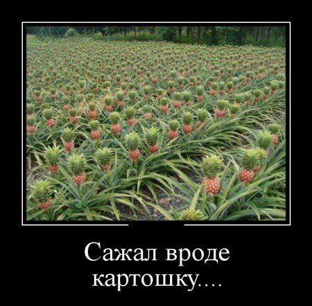 Демотиваторы, внутри все самое прикольное. Демотиваторы, внутри все самое прикольное.
