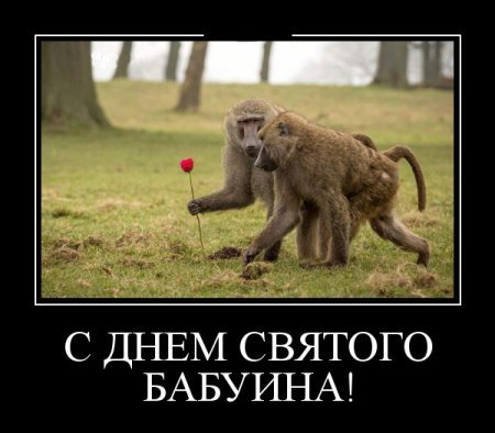 Демотиваторы, внутри все самое прикольное. Демотиваторы, внутри все самое прикольное.
