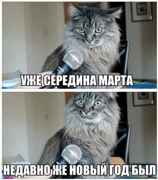 Подборка комиксов и приколов №280 (50 картинок) Подборка комиксов и приколов №280 (50 картинок)