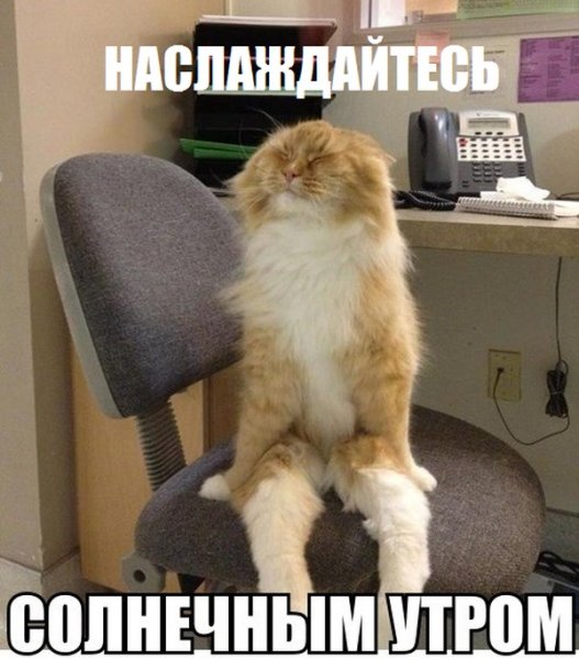 Подборка комиксов и приколов №280 (50 картинок) Подборка комиксов и приколов №280 (50 картинок)