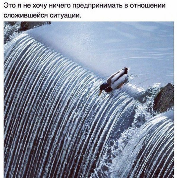Подборка прикольных фото №1077 (103 фото) Подборка прикольных фото №1077 (103 фото)