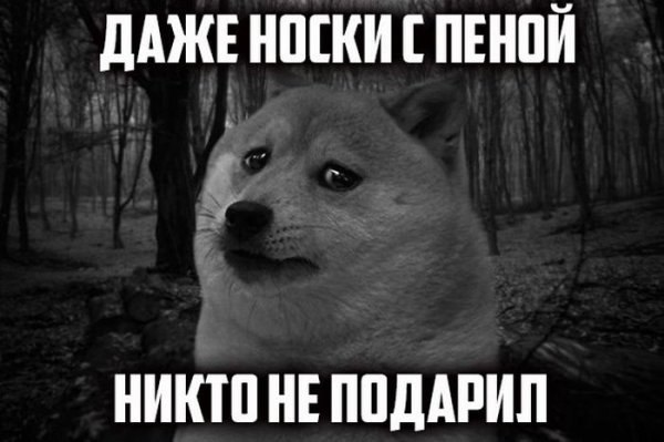 Подборка прикольных фото №1077 (103 фото) Подборка прикольных фото №1077 (103 фото)