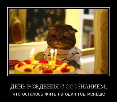 Работа прикольным демотиваторам не помеха. Работа прикольным демотиваторам не помеха.