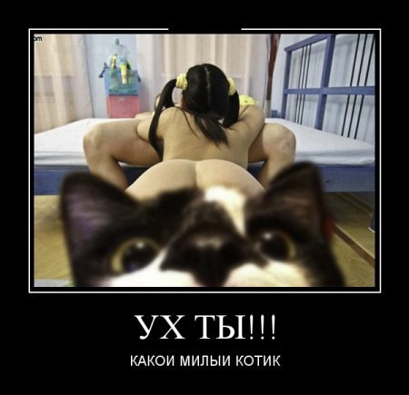 Работа прикольным демотиваторам не помеха. Работа прикольным демотиваторам не помеха.