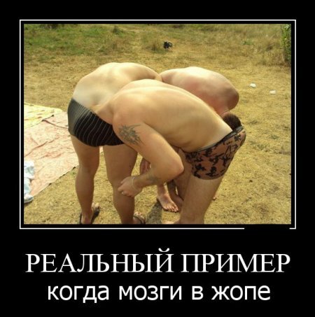 Работа прикольным демотиваторам не помеха. Работа прикольным демотиваторам не помеха.