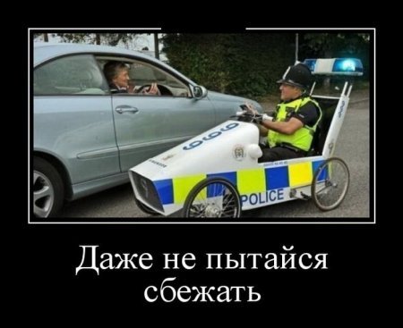 Работа прикольным демотиваторам не помеха. Работа прикольным демотиваторам не помеха.