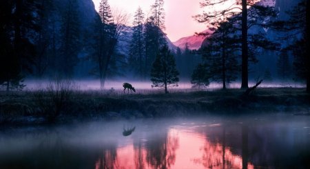 Ночь прекрасна и нежна... Красивые фото. Ночь прекрасна и нежна... Красивые фото.