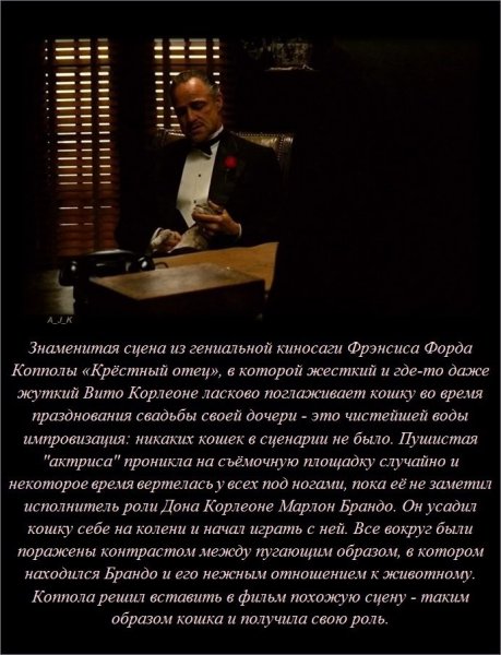 Интересные факты (38 фото) Интересные факты (38 фото)