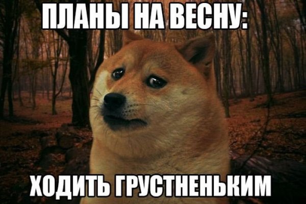 Фотоподборка четверга (96 фото)