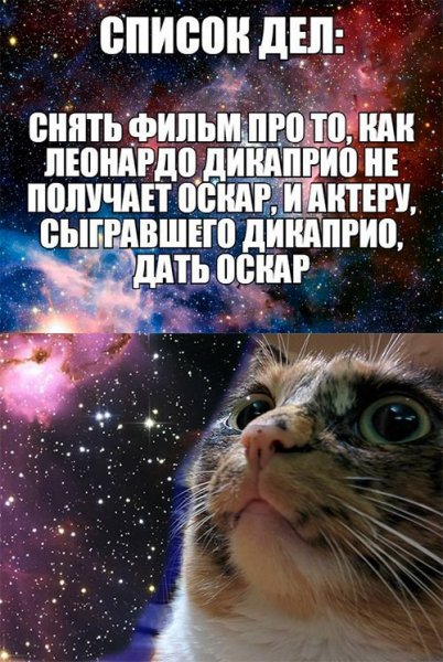Фотоподборка четверга (96 фото)