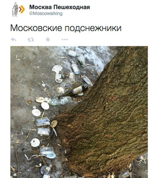 Фотоподборка четверга (96 фото)