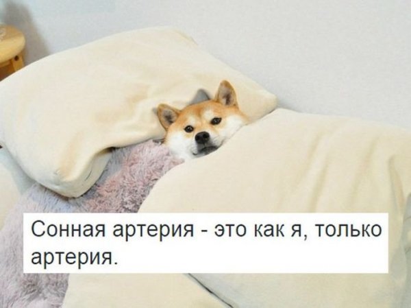 Фотоподборка четверга (96 фото)