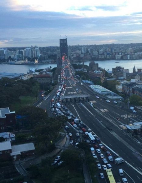 Жительница Сиднея нанесла ущерб городу на 50 млн долларов (10 фото)