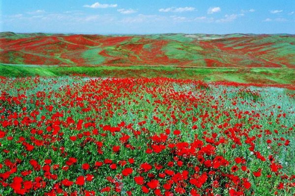 Погода в Казахстане (6 фото) Погода в Казахстане (6 фото)