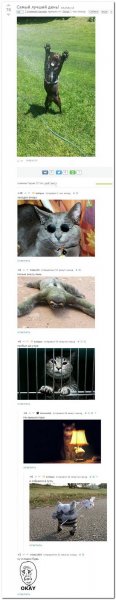 Скриншоты из социальных сетей. Часть 185 (30 фото) Скриншоты из социальных сетей. Часть 185 (30 фото)