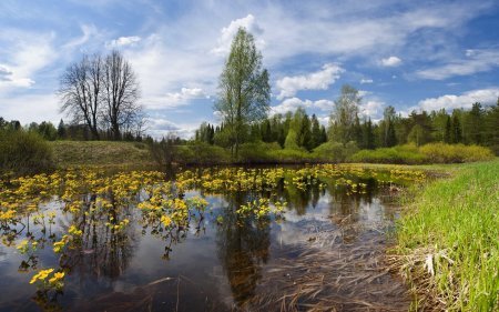 Встречаем Весну :) Фото природы.