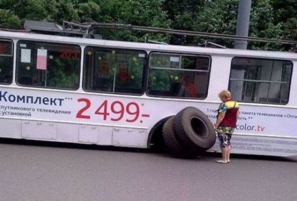 Такое возможно только в нашей стране (60 фото)