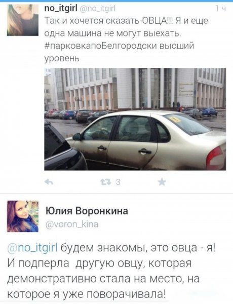 Фотоподборка вторника (93 фото)