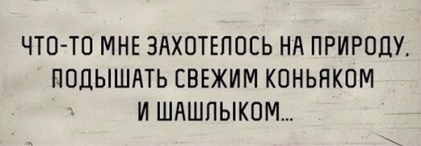 Фотоподборка вторника (93 фото)