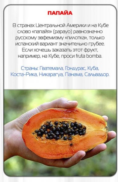 Какие русские слова нельзя говорить за границей (11 фото)