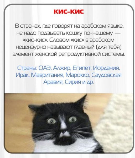 Какие русские слова нельзя говорить за границей (11 фото)
