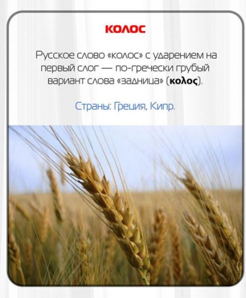Какие русские слова нельзя говорить за границей (11 фото)