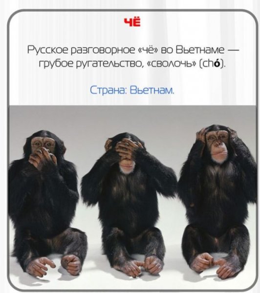 Какие русские слова нельзя говорить за границей (11 фото)