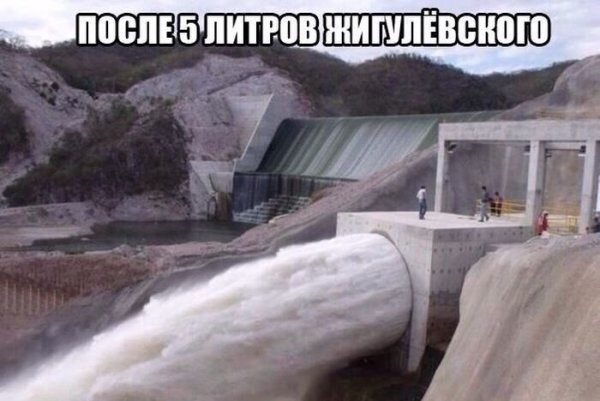 Подборка прикольных фото №1081 (93 фото)
