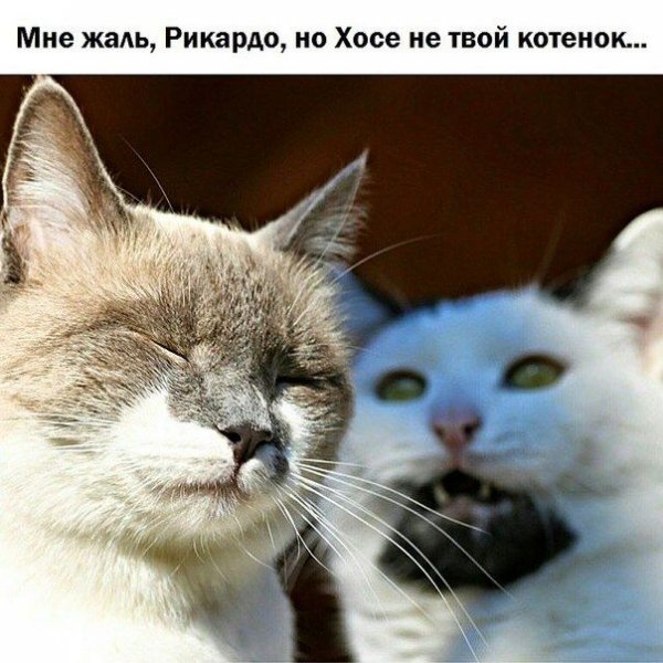 Подборка прикольных фото №1081 (93 фото)