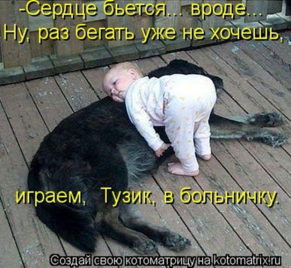 Прикольные зверушки в смешных котоматрицах (50 фото)