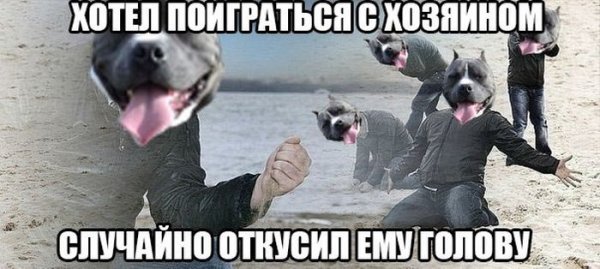 Подборка прикольных фото №1082 (96 фото)