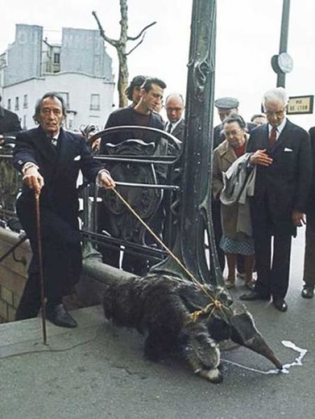 Отличная подборка людей, которые ничего не боятся (40 фото)