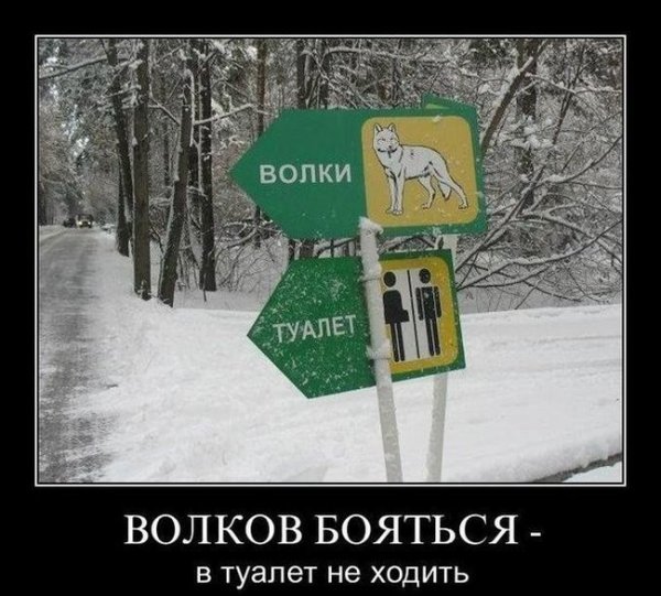 Демотиваторы №1031 (30 фото)