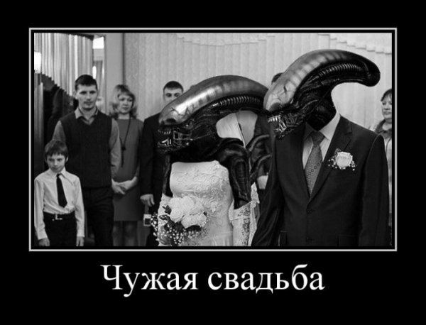 Демотиваторы №1031 (30 фото)