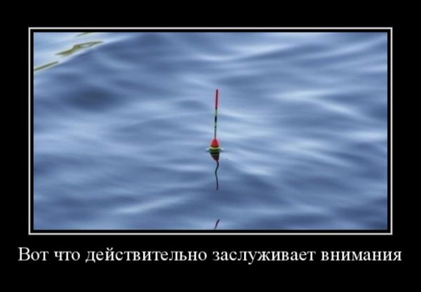Демотиваторы №1031 (30 фото)